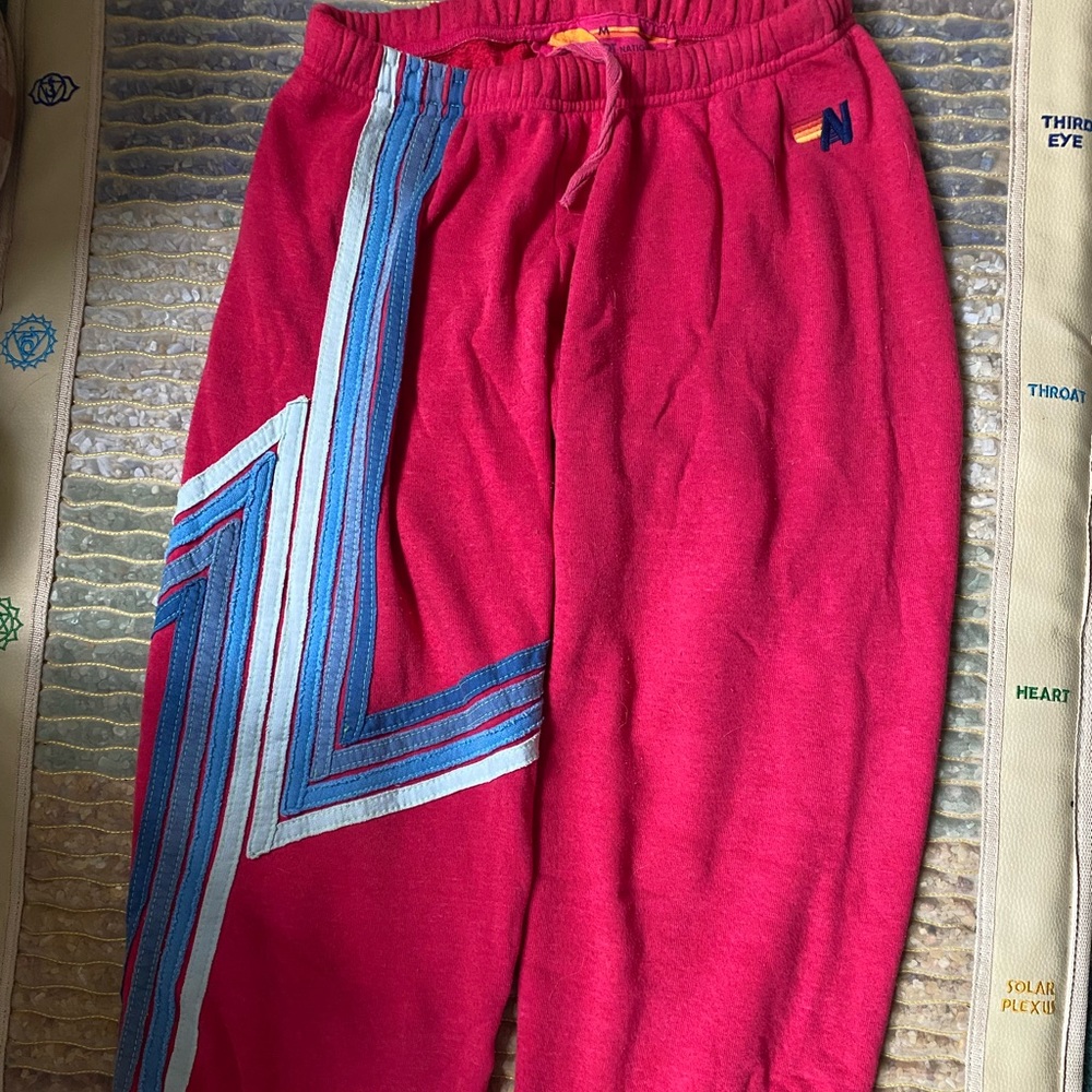 Aviator nation womens or unisex sweatpants. Medium M